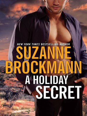 cover image of A Holiday Secret
